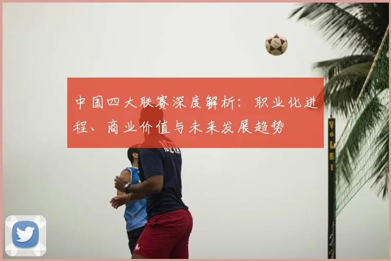 中国四大联赛深度解析:职业化进程、商业价值与未来发展趋势