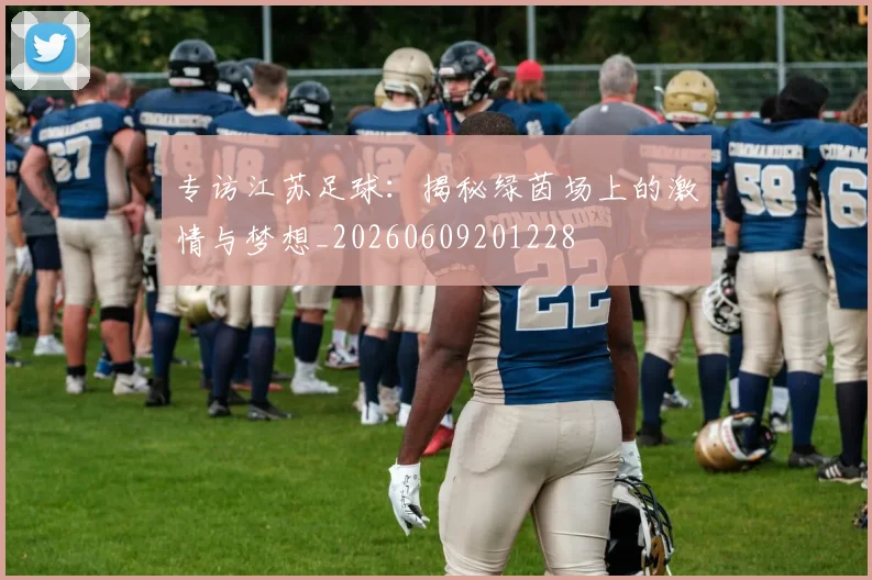专访江苏足球：揭秘绿茵场上的激情与梦想_20260609201228